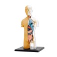 Анатомия Човешкото тяло