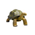 3D пъзел Галапагоска костенурка