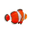 3D пъзел Риба клоун
